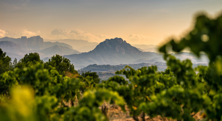 Parc Natural del Ports